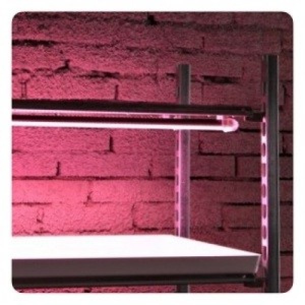 indoor farma_500x0_500x500